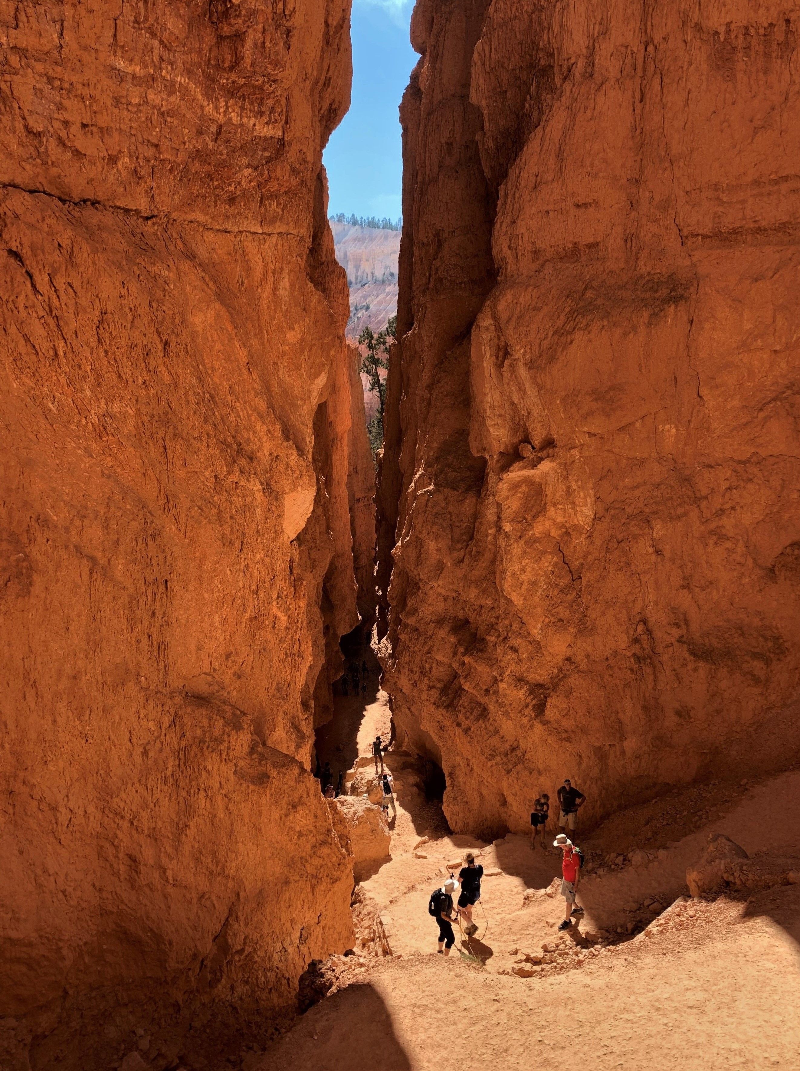 Bryce Canyon NP